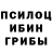 Галлюциногенные грибы GOLDEN TEACHER Tarik Mahmood