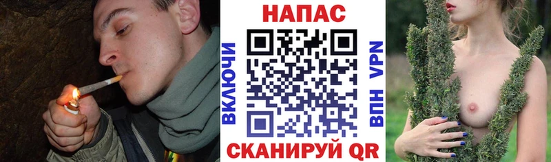 наркота  Новый Уренгой  Конопля ГИДРОПОН 